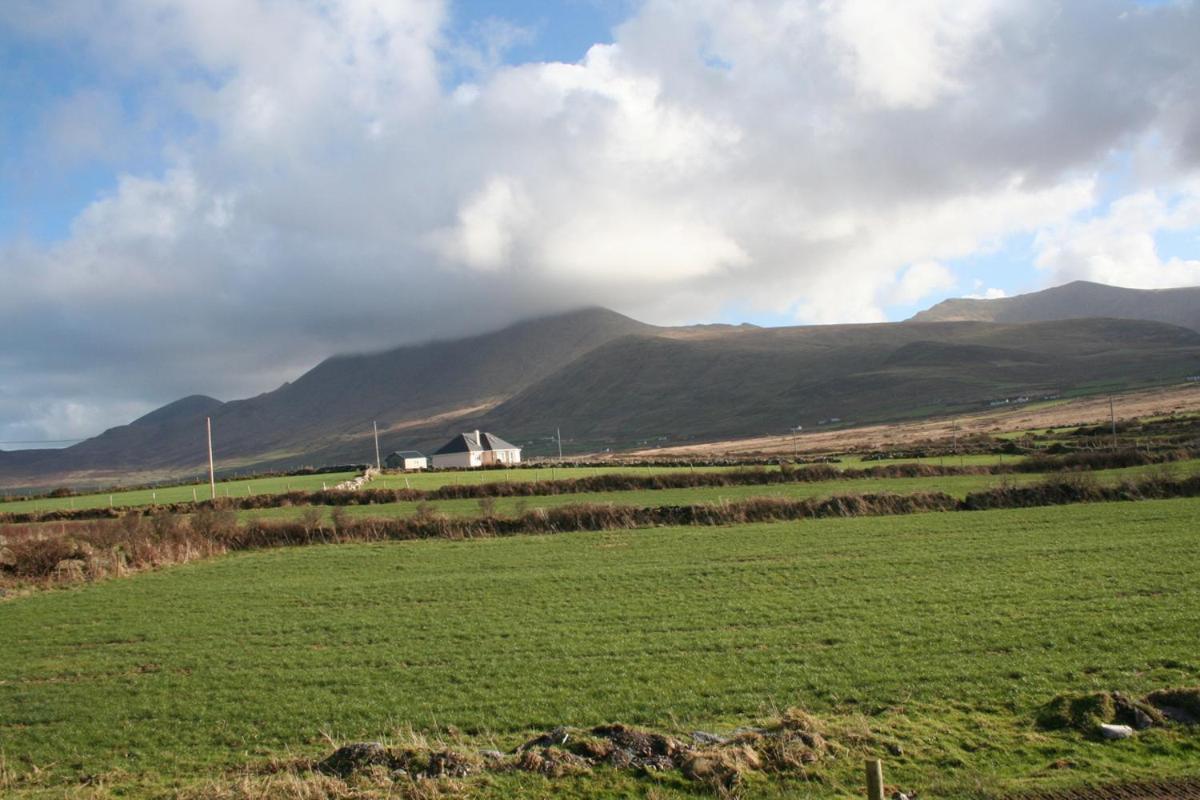 Coill An Rois B&B Ballydavid Exterior foto